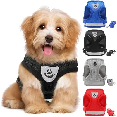 Small Pet Cat Dog Puppy Harness Lead Set Reflective Breathable Soft Mesh Vest • £5.99