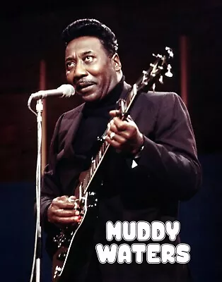 Muddy Waters  13  X 19  Re-Print Music Concert Poster • $19.95