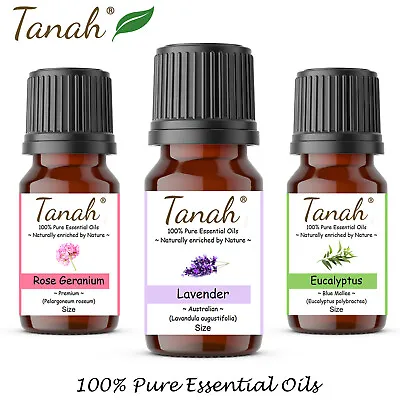 $18.50 • Buy Tanah Essential Oil Company 100%Pure Essential Oils 10ml 30ml 100ml Aromatherapy