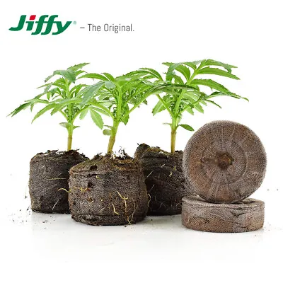 £4.20 • Buy JIFFY-7 Peat Compost Plug Seed Starter Grow Propagation Hydro Pellets 41 X 42mm