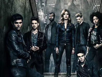 Shadowhunters - The Mortal Instruments Poster 45x32cm Tv Series • $16.24