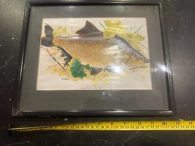 Old Common Bream Fishing Print In Frame    GARAGE FIND • £10