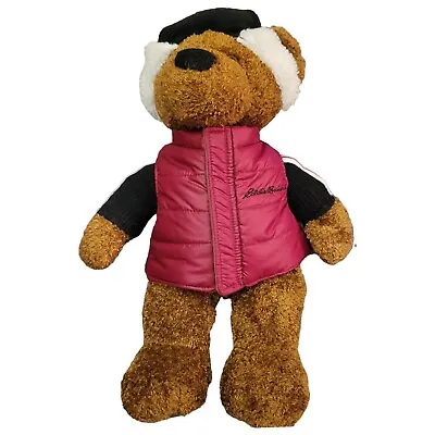 Eddie Bauer 2003 Plush Teddy Bear Hat Red Vest Sweater Stuffed Animal 13   • $13.50