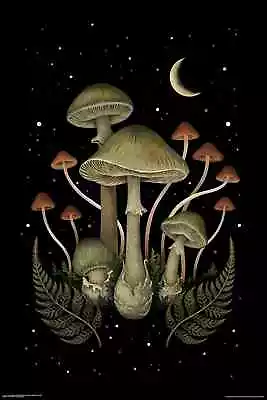 DEATH CAP - MUSHROOMS POSTER 24x36 - 11950 • $11.35