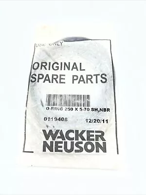 Wacker PT3 PT3A Trash Pump O-Ring 0119408 • $9.95