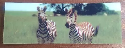 3D Awesome Zebras 🦓 Lenticular Bookmark BRAND NEW! E2 • £2.50