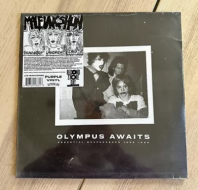 Malfunkshun Olympus Awaits SEALED Vinyl 2xLP RSD 2024 MOTHER LOVE BONE /1500 • $59