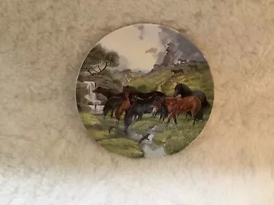 Davenport 1990 Dartmoor Ponies Limited Edition Plate Equestrian Collectable • £2.99