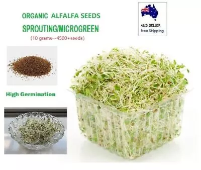 ORGANIC Sprouting/MICROGREEN SEEDS Alfalfa Broccoli Snow Pea Mung Bean Etc. • $6.80