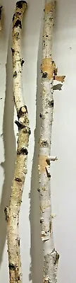 $59.99 • Buy 4 White Birch Poles 59  Branches 1”-2” Thick Decorations Décor Nature Autumn