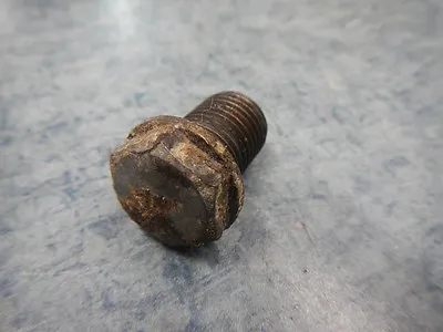 Oil Drain Plug Bolt 74 Yamaha Sc500 Enduro Sc 500 Sc500a 1974 • $24.99