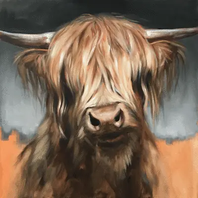 £16.99 • Buy Highland Cow Canvas Wall Art Printed Stretched Over Solid Pine Frame 