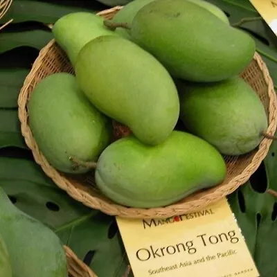 Okrung Organic Non Gmo  Seed. Very Rare Mango Plant • $12.99