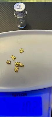 Alaskan Yukon BC Gold Rush Nuggets #6 Mesh 1 Gram Nuggets • $78.88