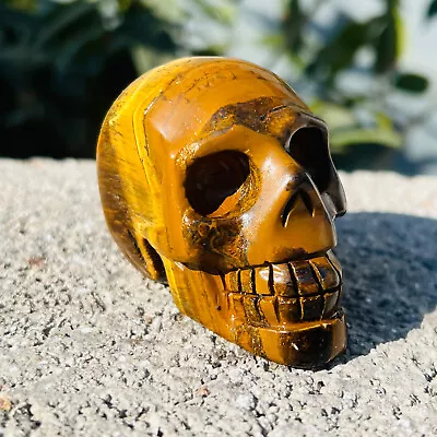 154G Natural Tiger Eye Skull Quartz Crystal Carved Skull Gem Reiki Healing • $0.99