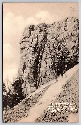 Meridan Connecticut~Great Stone Face Washington's Head B&W~Vintage Postcard • $3.49