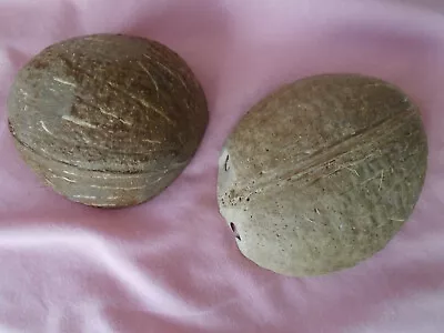 2 Coconut Shells: Candles / Bird Feeders / Crafts / Recycling: 5 Lots Available: • £3