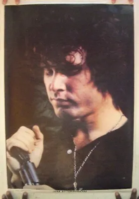 $99.99 • Buy Jim Morrison Poster The Doors Concert Shot