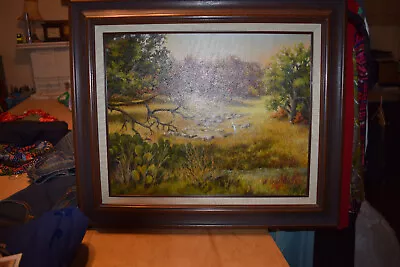 VTG ORIGINAL Canvas Painting Texas Hill Country  Signed/Framed • $5