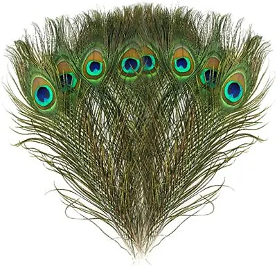 3pcs Natural Real Peacock Feather 24-30cm 10-12inch Small • £3.65