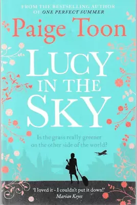 Lucy In The Sky By Paige Toon (Brand New Paperback 2013) • £6.99