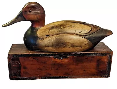 Signed Tom Taber 1979 Canvasback Duck Decoy 13 3/4  Vintage READ BEFORE BIDDING! • $6