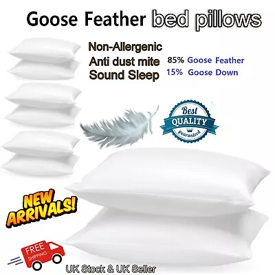 Pack Of 2 GOOSE FEATHER & DOWN PILLOW Extra Filled Cotton Hotel Quality Pillows • £15.55