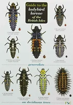 Remy Poland - Guide To The Ladybird Larvae Of The British Isles - New  - I245z • £6.49