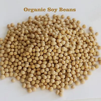 Organic Soy Beans Bulk Soya Soybeans  Non-gmo • $17.95