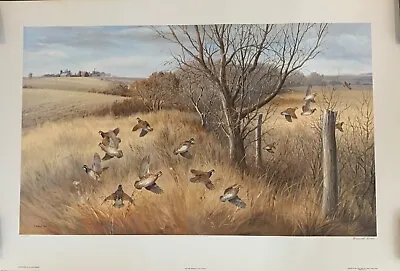 Lot Of “Covey Rose Bobwhite” Colored Lithograph Print Signed Maynard Reece Boxed • $175