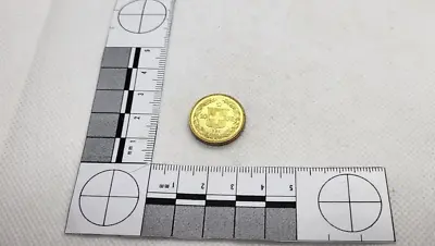 20 Francs - 1895- Switzerland - Gold Color Restriked Coin • $29