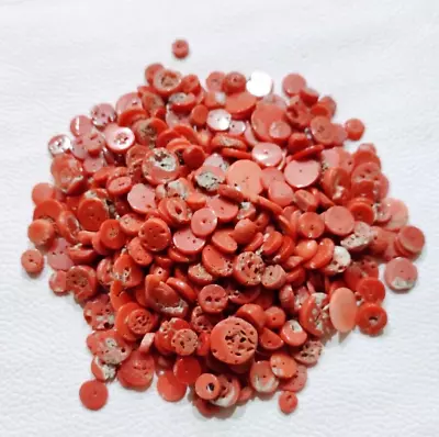 Italian Coral Beads Polished Loose Gemstone Natural Red Coral Beads 50 Piece Lot • $40.36