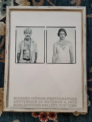 Vintage 1975 Richard Avedon NYC Gallery Poster Willem De Kooning Rare Original • $340