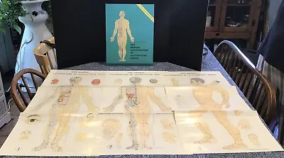 The Newest Illustrations Of Acupuncture Points 1996 • $55