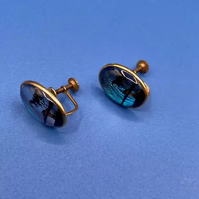 Vintage EARRINGS Blue Butterfly Wing Screwback Palm Trees 1/20 12 KT Gold-filled • $14.77