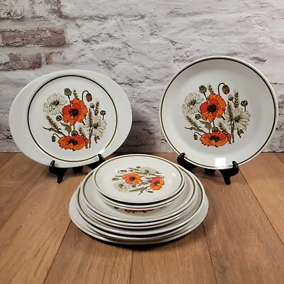 Vintage J & G Meakin Studio Poppy 3 Settings Plates  - 1970s Dinner Plates  • £49.99