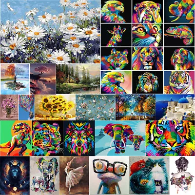 Oil Painting By Numbers Kit DIY On Canvas Frameless For Adult Kid BEST Gift Xmas • £4.61