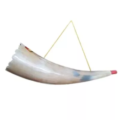 Viking Horn Gjallarhorn Trumpet Noise Costume Yelling Skol Medieval Norse Prop • $25.34