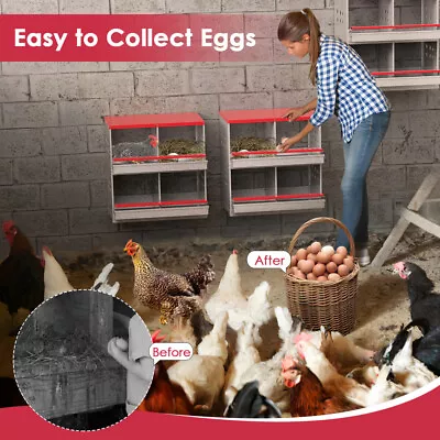 Chicken Brooding Nesting Box 4-Holes Galvanized Steel Large Vented Poultry Nest • $106.68