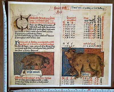 $5.57 • Buy Antique Sky Map 'The Constellations Ursa Major & Ursa Minor' 1700s REPRINT