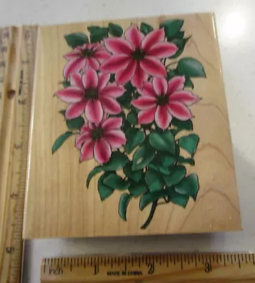 Pink Clematis Flowers Mw Rubber Stamp -inkadinkado • $2.99