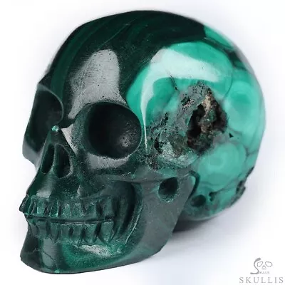 Free Shipping Gemstone 1.2  Malachite Hand Carved Crystal Skull Realistic Crys • $16.50