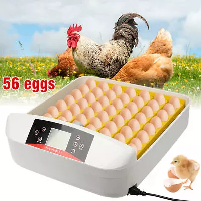 Automatic 56 Egg Incubator Auto Turning Chicken Poultry Pigeon Quail Egg Hatcher • $100.95