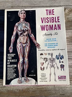 Vintage RENWAL “THE VISIBLE WOMAN” Plastic Model Complete W/ Box Unused • $45