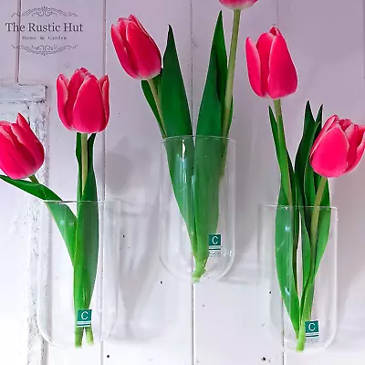 £23.95 • Buy Glass Wall Vase Planter- Set Of 3 - Chive Hudson Wall Cup