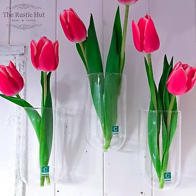 Glass Wall Vase Planter- Set Of 3 - Chive Hudson Wall Cup • £23.95
