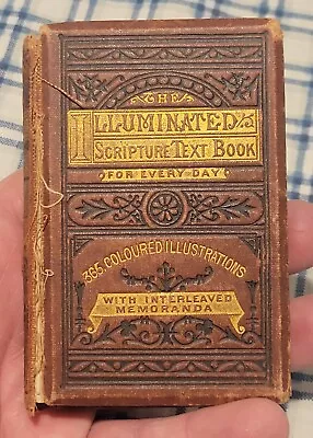 The Illuminated Scripture Antique  Book 365 Colored Illustrations 1887 London • $14.95