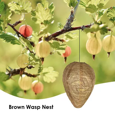 Bees Dummy Wasp Nest Hanging Decoy For Repelling Garden Fly Protection • $18.83