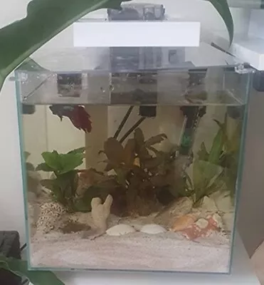 Ciano Shrimp Nano Aquarium Tank With Internal Filter Heater Led Lighting 14.5L • £30