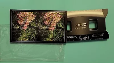 Foldable Loreo Lite 3D Viewer For 5  To 7  Wide 3d Images Pictures Stereo Views • $13.99